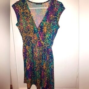 Colorburst Deep V dress